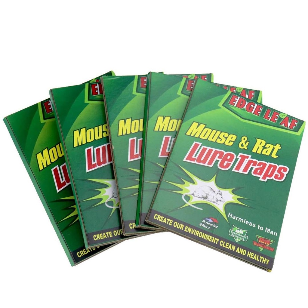 اكسبرت كاتش لاصقة فار - Expert Catch Mouse adhesive