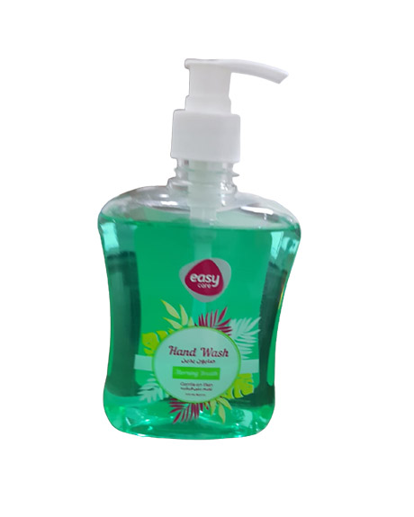 ايزى كير هاند ووش - Easy Care Hand Wash (500ml, Morning Breath)