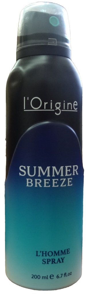 ل اورجين سبراى - L Origine Spray (رجالى, 200ml, سمر بريز)