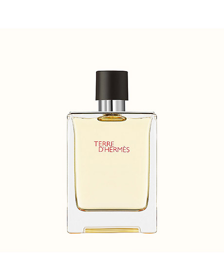 هيرميس ترى دى هيرميس تستر - Hermes Terre D Hermes Tester EDT-M (100ml)