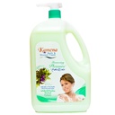 كامينا شاور - Camena Shower (2L, Herbal, without)
