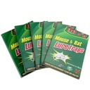 اكسبرت كاتش لاصقة فار - Expert Catch Mouse adhesive