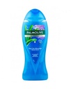 بالموليف شاور - Palmolive Shower (500ml, Aleovera&Mint)