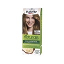 باليت صبغة جديد - Palette Color New (50ml, Medium Gold Blonde 7-65)