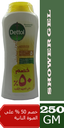 ديتول شاور - Dettol Body Wash (250ml, Nourish, 1+1 50% off)