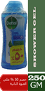 ديتول شاور - Dettol Body Wash (250ml, Cool, 1+1 50% off)