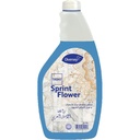 ديفرسى منظف اسطح تاسكى - Diversey Surface Cleaner taski 750ml (750ml)