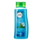هربل ايسنسز شامبو - Herbal Essences Shampoo (700ml, Coconut, without)