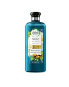 هربل ايسنسز شامبو - Herbal Essences Shampoo (400ml, Argan Morocco, without)